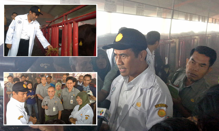 BET Cipelang Didorong Hasilkan 500 Ribu Embrio Unggul per Tahun